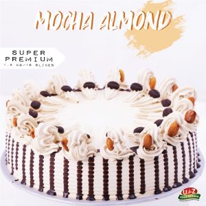SUPER PREMIUM ICE CREAM CAKE